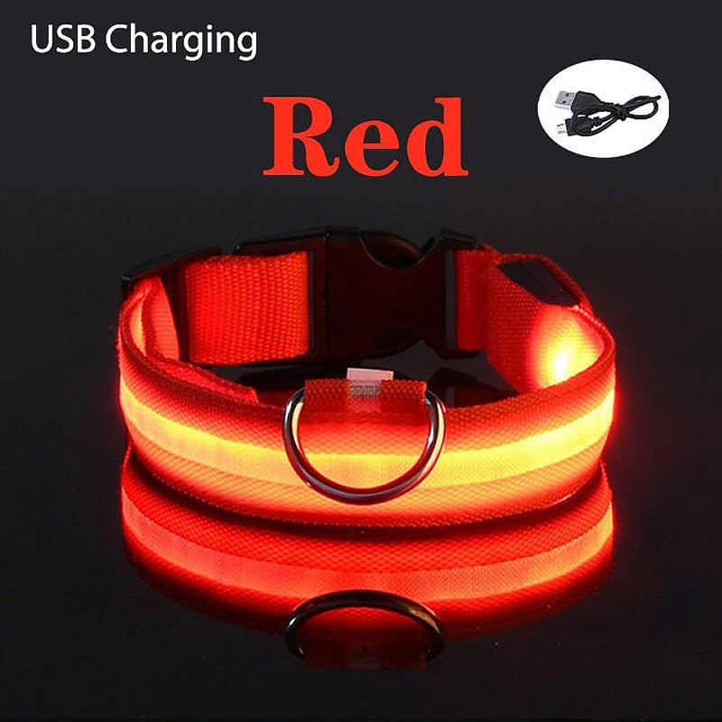 USB Charging LED Dog Collar - My Puppy Fresh