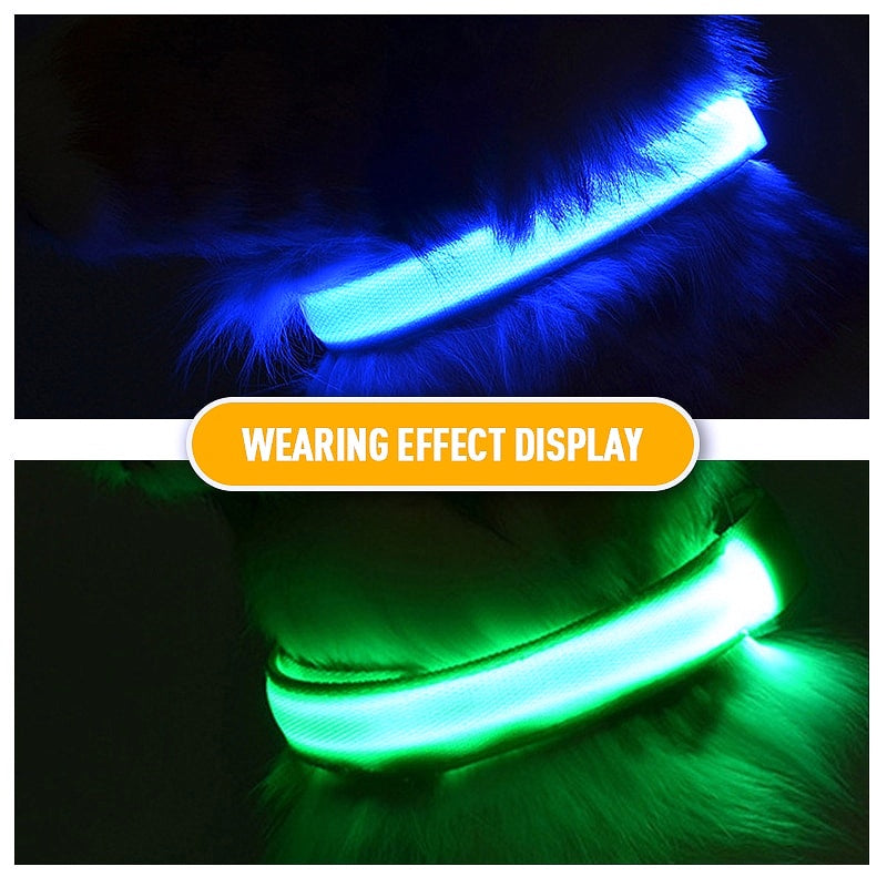 USB Charging LED Dog Collar - My Puppy Fresh