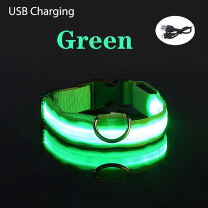 USB Charging LED Dog Collar - My Puppy Fresh