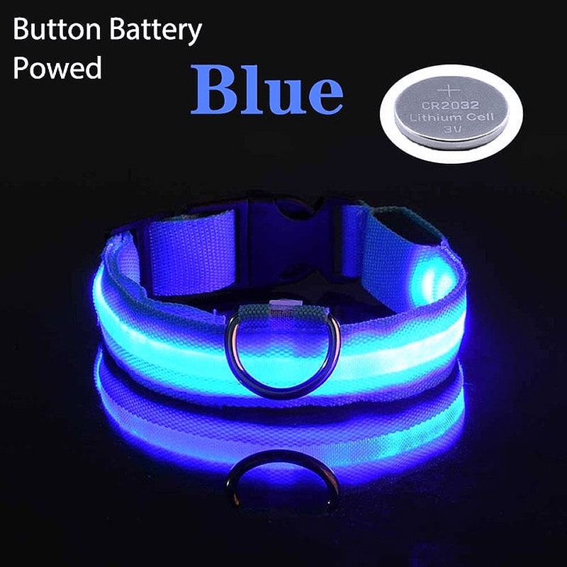 USB Charging LED Dog Collar - My Puppy Fresh