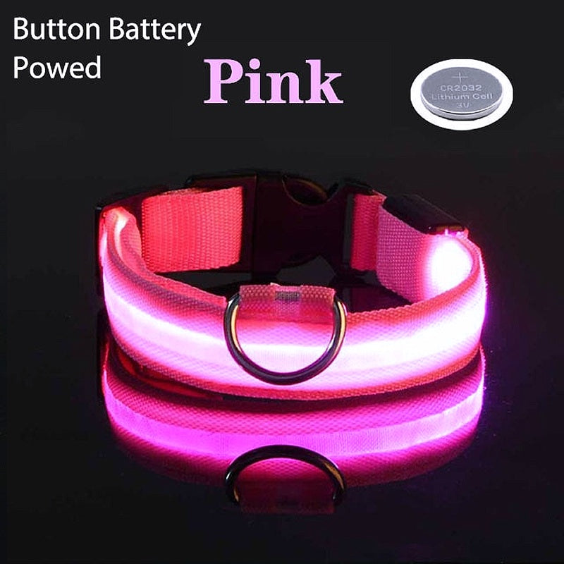 USB Charging LED Dog Collar - My Puppy Fresh