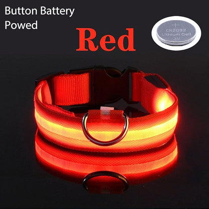 USB Charging LED Dog Collar - My Puppy Fresh