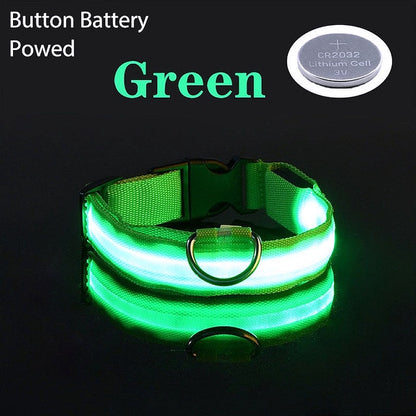 USB Charging LED Dog Collar - My Puppy Fresh