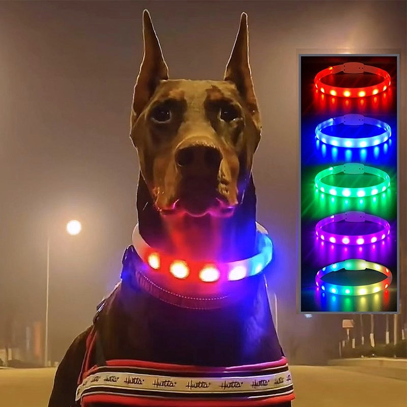 Glowing Safety LED Collar For Furry Friends - My Puppy Fresh