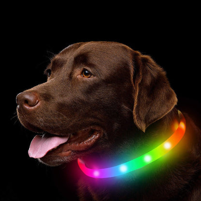 Glowing Safety LED Collar For Furry Friends - My Puppy Fresh