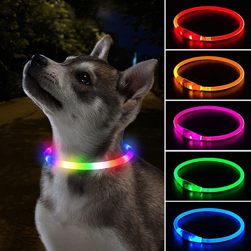 Glowing LED Collar for Dogs and Cats - My Puppy Fresh