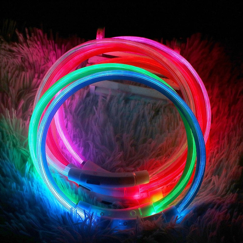 Glowing LED Collar for Dogs and Cats - My Puppy Fresh