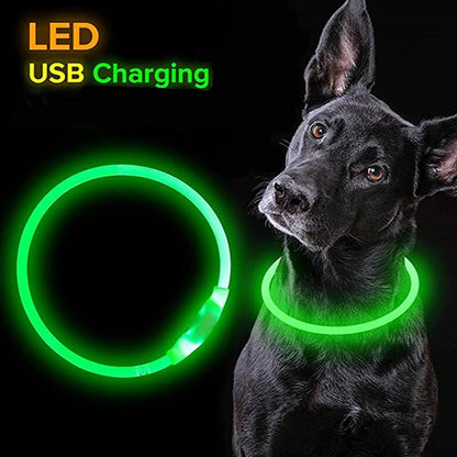 Glowing LED Collar for Dogs and Cats - My Puppy Fresh