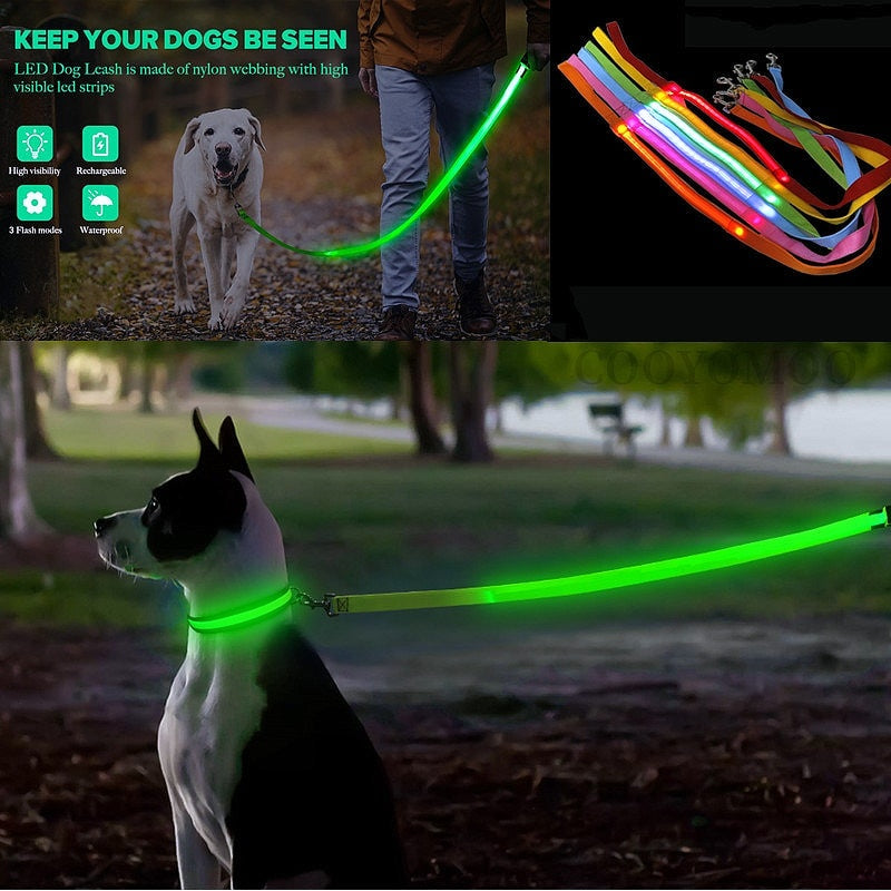 Glowing LED Dog Leash - Keep Your Pets Safe in Darkness - My Puppy Fresh