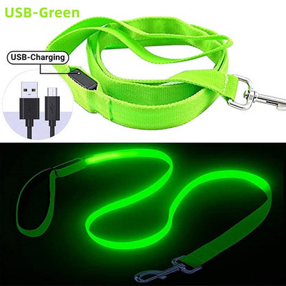 Glowing LED Dog Leash - Keep Your Pets Safe in Darkness - My Puppy Fresh