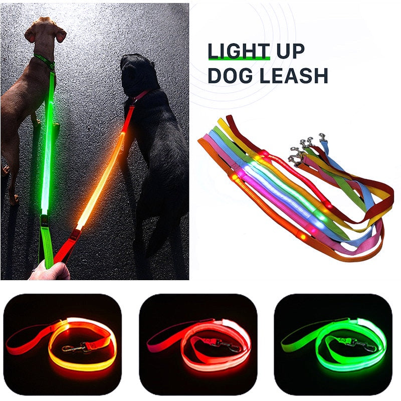 Glowing LED Dog Leash - Keep Your Pets Safe in Darkness - My Puppy Fresh