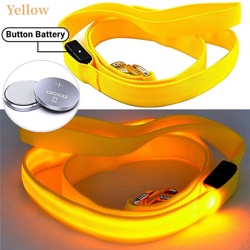 Glowing LED Dog Leash - Keep Your Pets Safe in Darkness - My Puppy Fresh