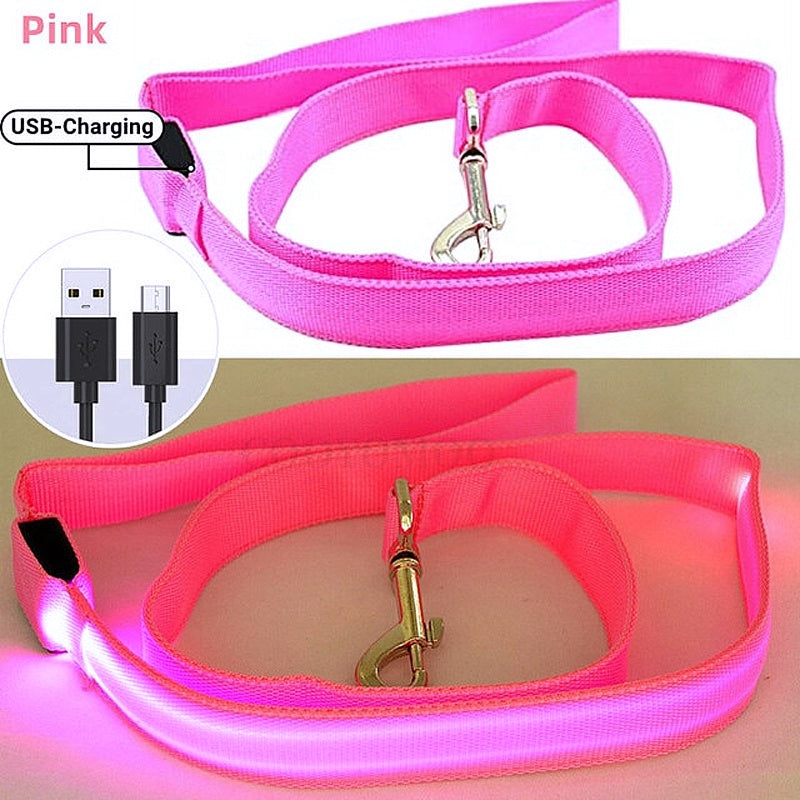 Glowing LED Dog Leash - Keep Your Pets Safe in Darkness - My Puppy Fresh