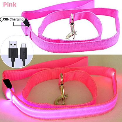 Glowing LED Dog Leash - Keep Your Pets Safe in Darkness - My Puppy Fresh