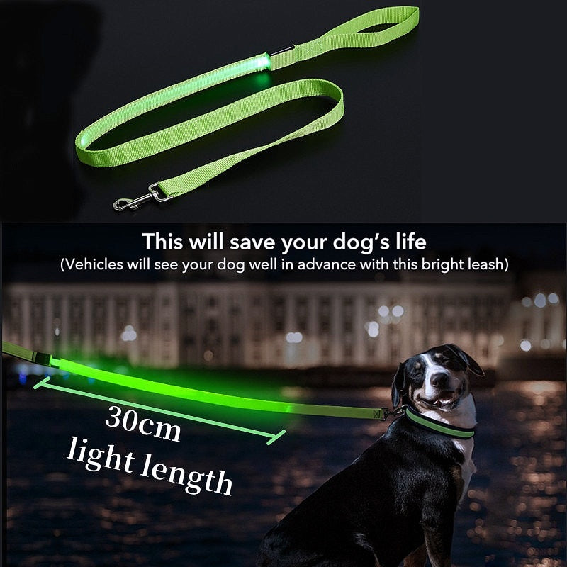 Glowing LED Dog Leash - Keep Your Pets Safe in Darkness - My Puppy Fresh