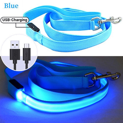 Glowing LED Dog Leash - Keep Your Pets Safe in Darkness - My Puppy Fresh