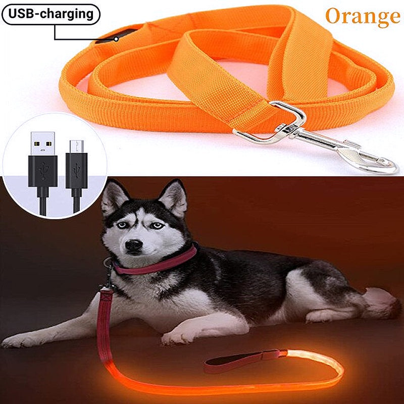 Glowing LED Dog Leash - Keep Your Pets Safe in Darkness - My Puppy Fresh