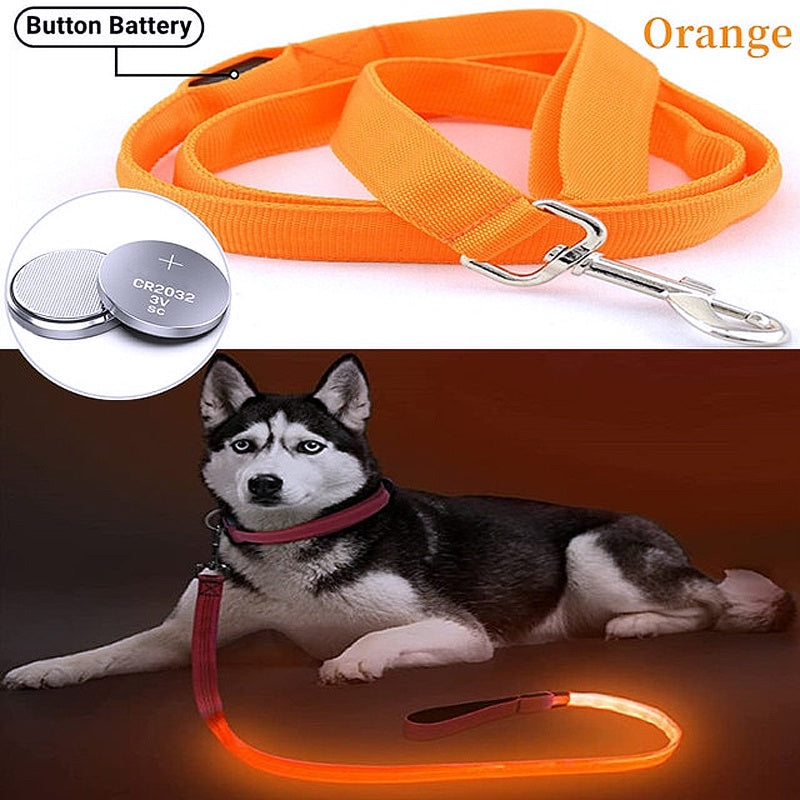 Glowing LED Dog Leash - Keep Your Pets Safe in Darkness - My Puppy Fresh