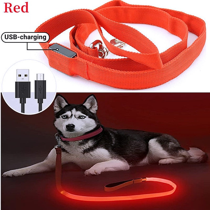 Glowing LED Dog Leash - Keep Your Pets Safe in Darkness - My Puppy Fresh