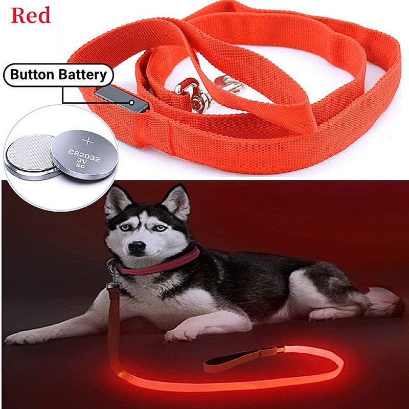 Glowing LED Dog Leash - Keep Your Pets Safe in Darkness - My Puppy Fresh