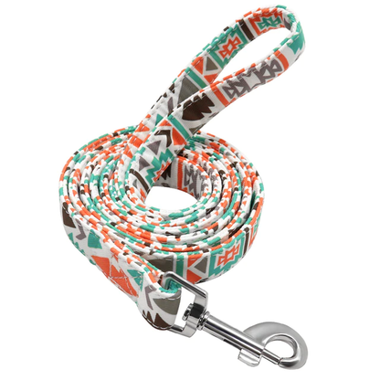 Matching Nylon Dog Leash - My Puppy Fresh