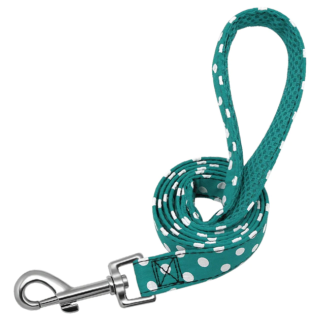 Matching Nylon Dog Leash - My Puppy Fresh