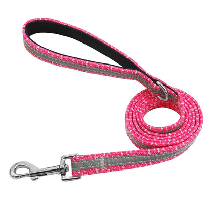 Matching Nylon Dog Leash - My Puppy Fresh