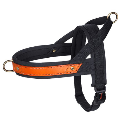 No Pull Nylon Leather Harness - My Puppy Fresh