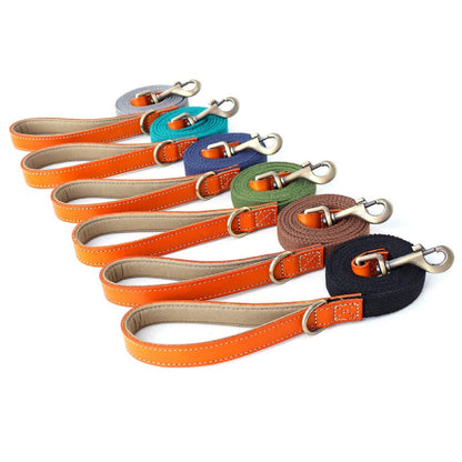 Matching Nylon Leather Dog Leash - My Puppy Fresh