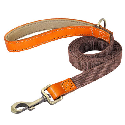 Matching Nylon Leather Dog Leash - My Puppy Fresh