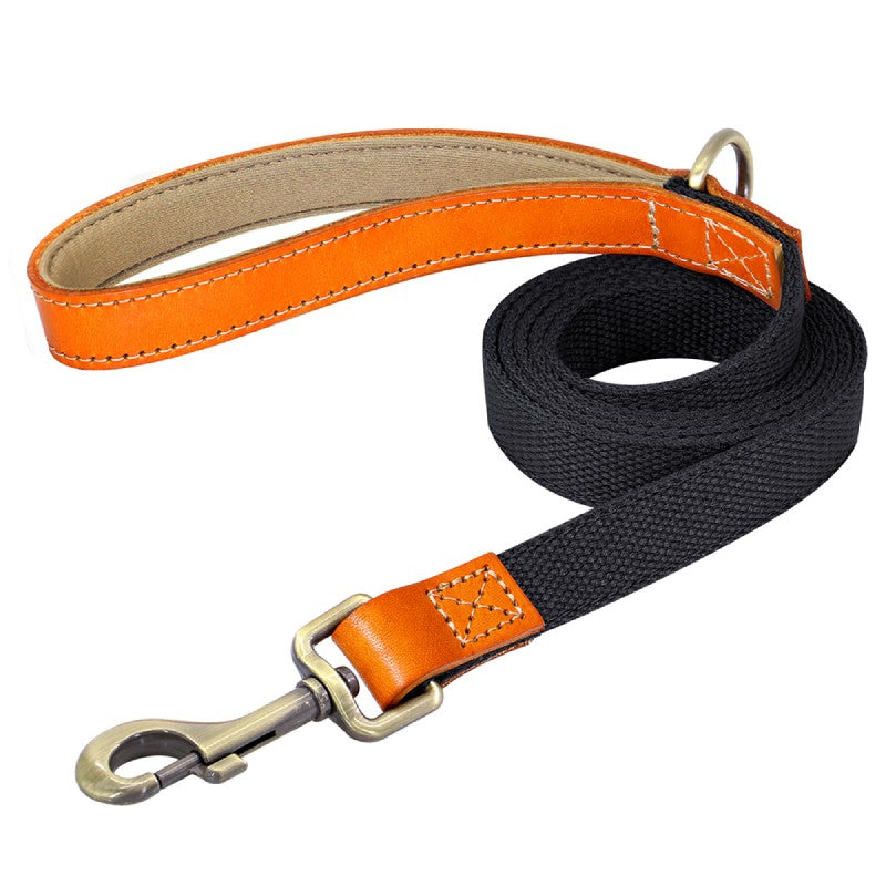 Matching Nylon Leather Dog Leash - My Puppy Fresh