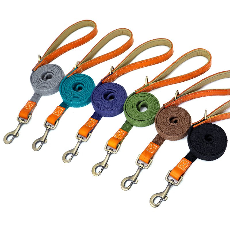 Matching Nylon Leather Dog Leash - My Puppy Fresh