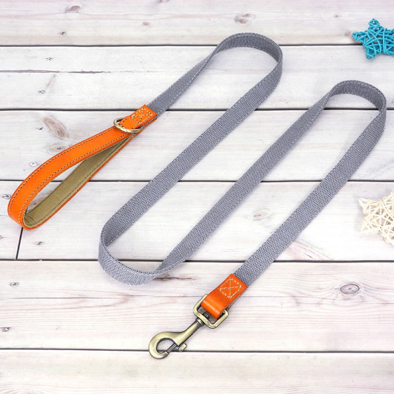 Matching Nylon Leather Dog Leash - My Puppy Fresh