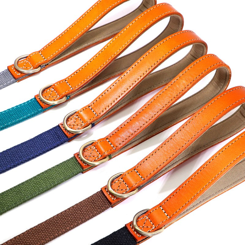 Matching Nylon Leather Dog Leash - My Puppy Fresh