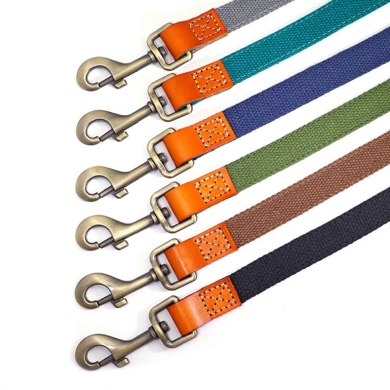 Matching Nylon Leather Dog Leash - My Puppy Fresh