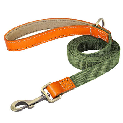 Matching Nylon Leather Dog Leash - My Puppy Fresh