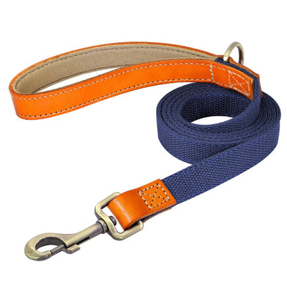 Matching Nylon Leather Dog Leash - My Puppy Fresh