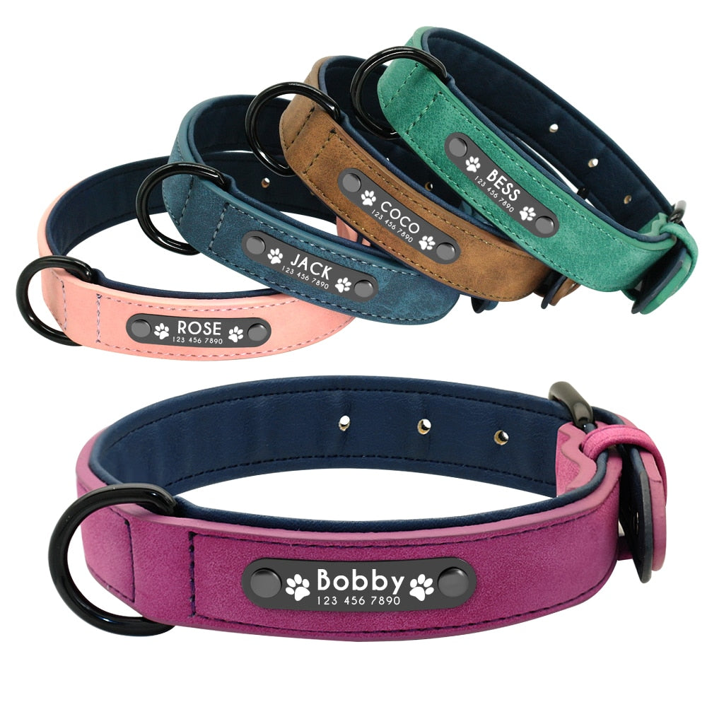 Personalized Leather Dog Collar and Leash - My Puppy Fresh