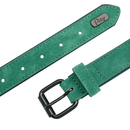 Personalized Leather Dog Collar and Leash - My Puppy Fresh