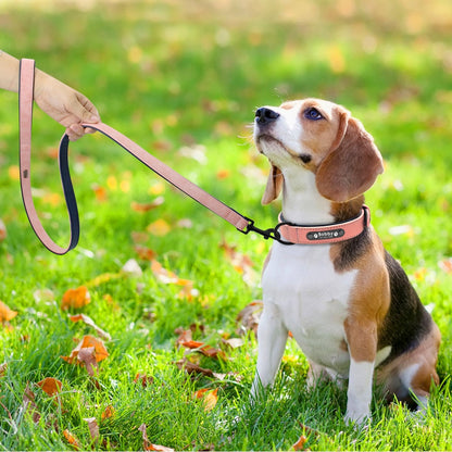 Personalized Leather Dog Collar and Leash - My Puppy Fresh