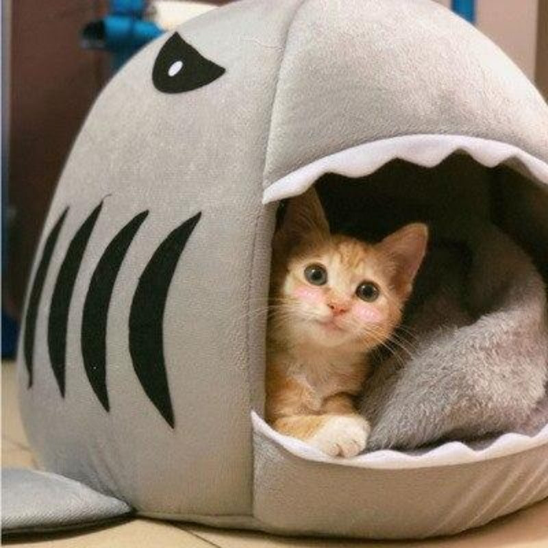 Shark Pet Bed For Small Medium Dogs Cats - My Puppy Fresh