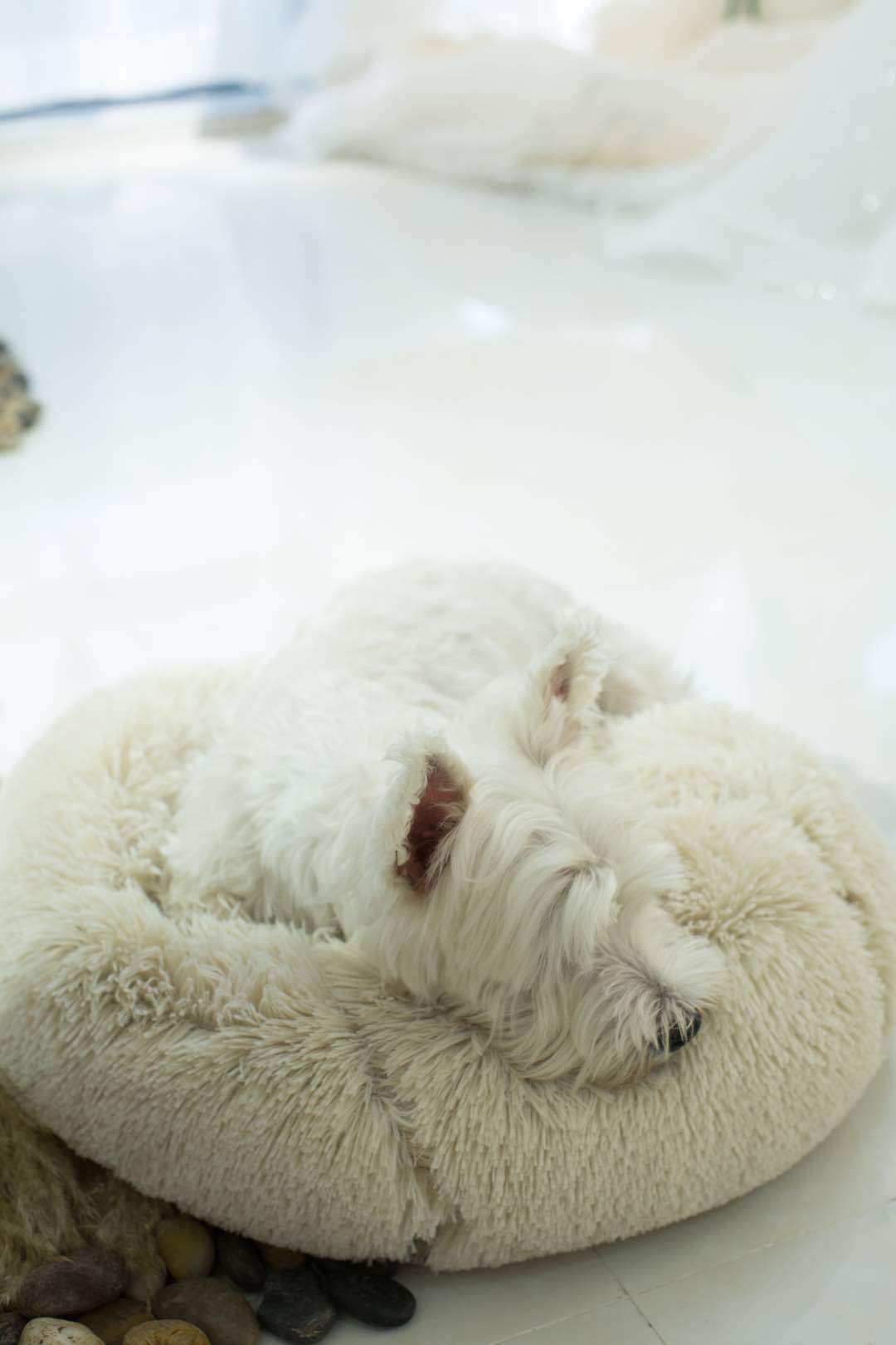 Donut Faux Fur Pet Bed - My Puppy Fresh