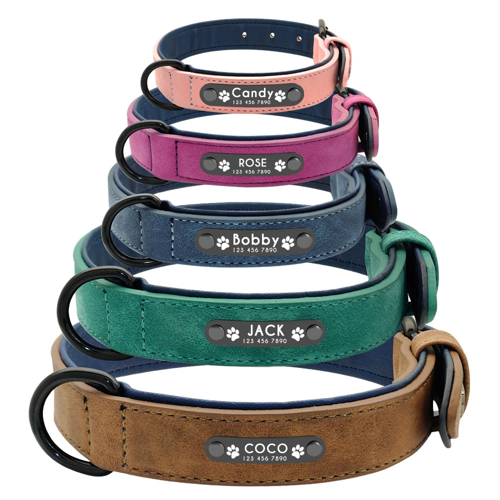 Personalized Leather Dog Collar and Leash - My Puppy Fresh