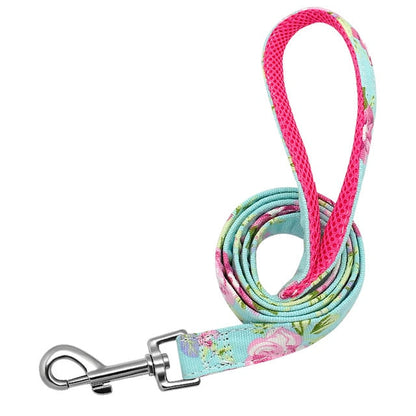 Matching Nylon Dog Leash - My Puppy Fresh