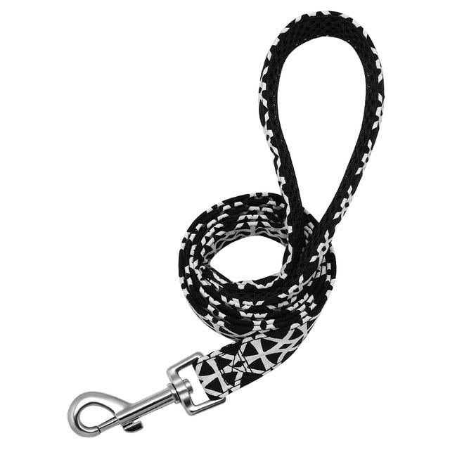 Matching Nylon Dog Leash - My Puppy Fresh