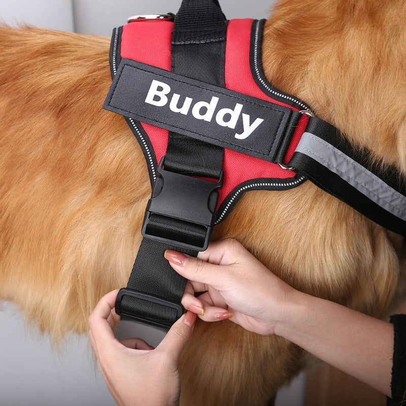 Personalized No Pull Reflective Dog Harness - My Puppy Fresh