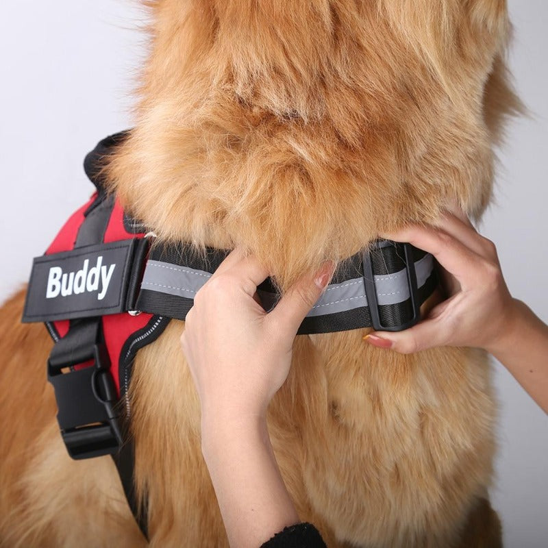 Personalized No Pull Reflective Dog Harness - My Puppy Fresh