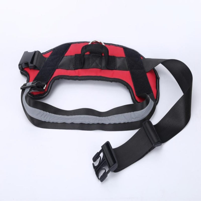 Personalized No Pull Reflective Dog Harness - My Puppy Fresh