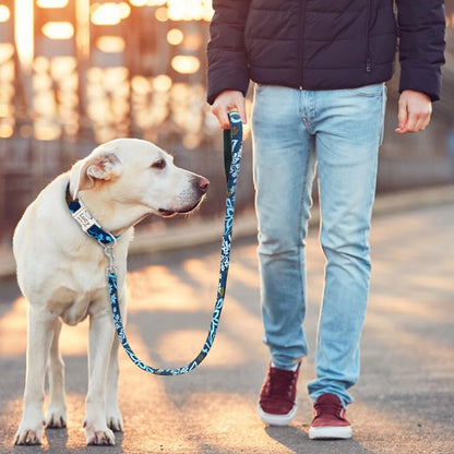 Matching Nylon Dog Leash - My Puppy Fresh