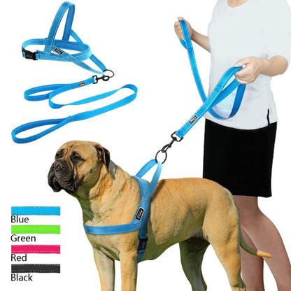 Reflective Dog Leash - My Puppy Fresh